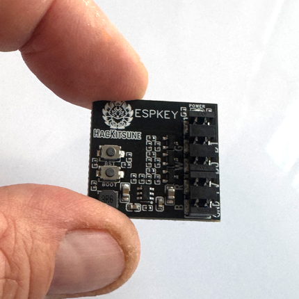 ESPKEY (with AVX Punchdown tool)