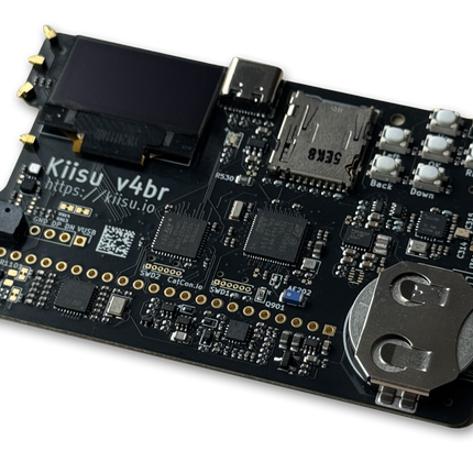 Kiisu V4BR Development Board - Credit card sized flipper zero firmware compatible development board